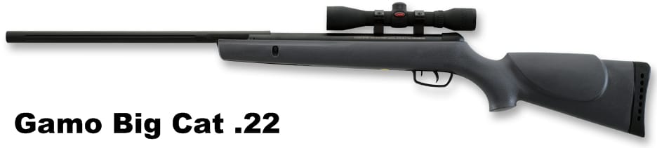 gamo-big-cat-22-caliber-break-barrel-air-rifle