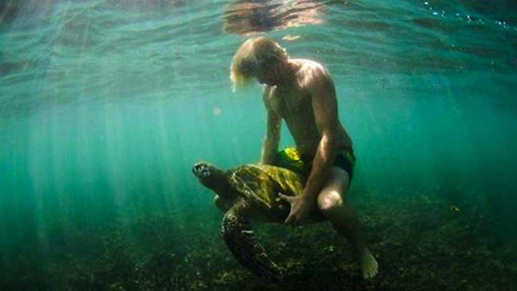 Jamie O'Brien with turtle