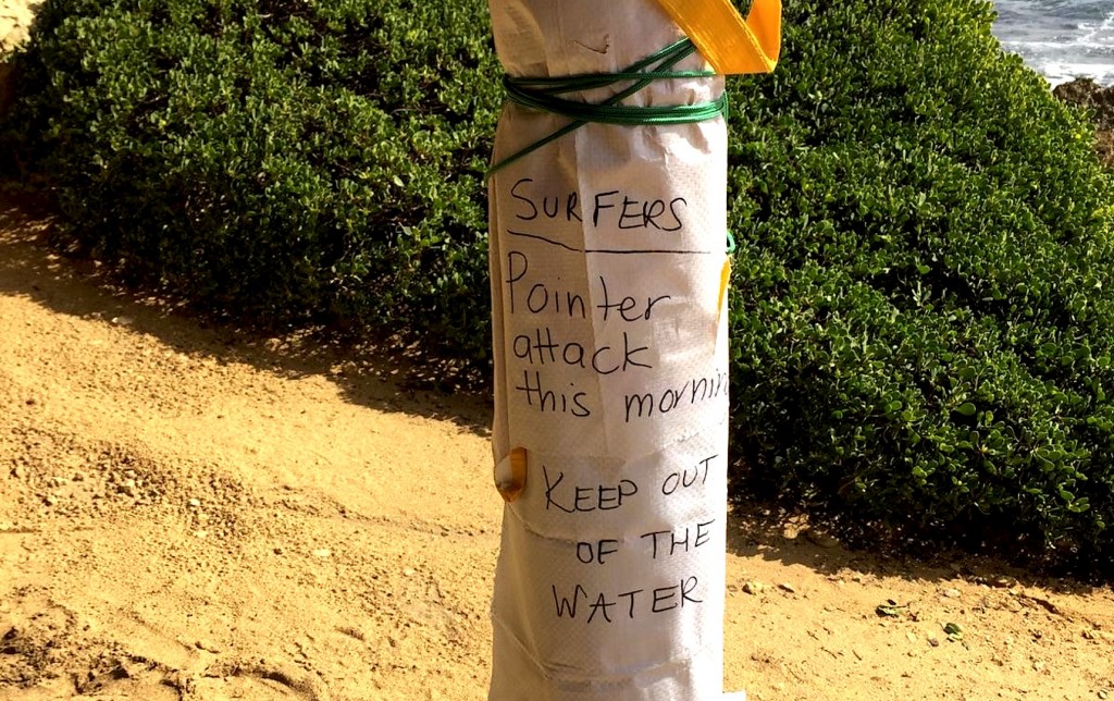 note on pole at Fishery Bay, South Australia