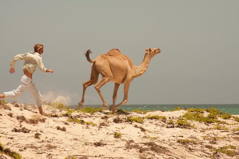 Yemen has hosted many assholes. Like the Ottomans, the Brits and this guy here running with camels near Hawf.