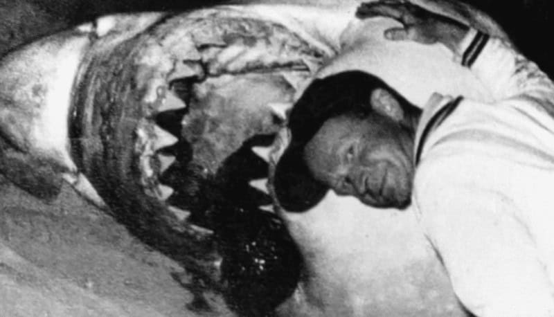 Shark Attack: &Quot;This Has Turned Into Amity Island Real Quick Out Here!&Quot; 1 The real jaws and fisherman frank mundus.
