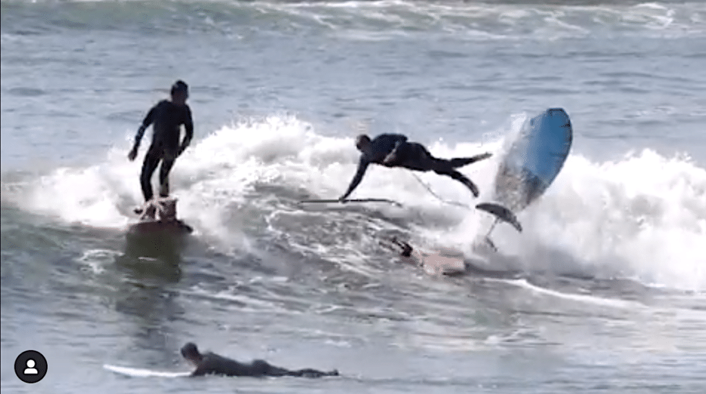jeff clark skyler surfing dog