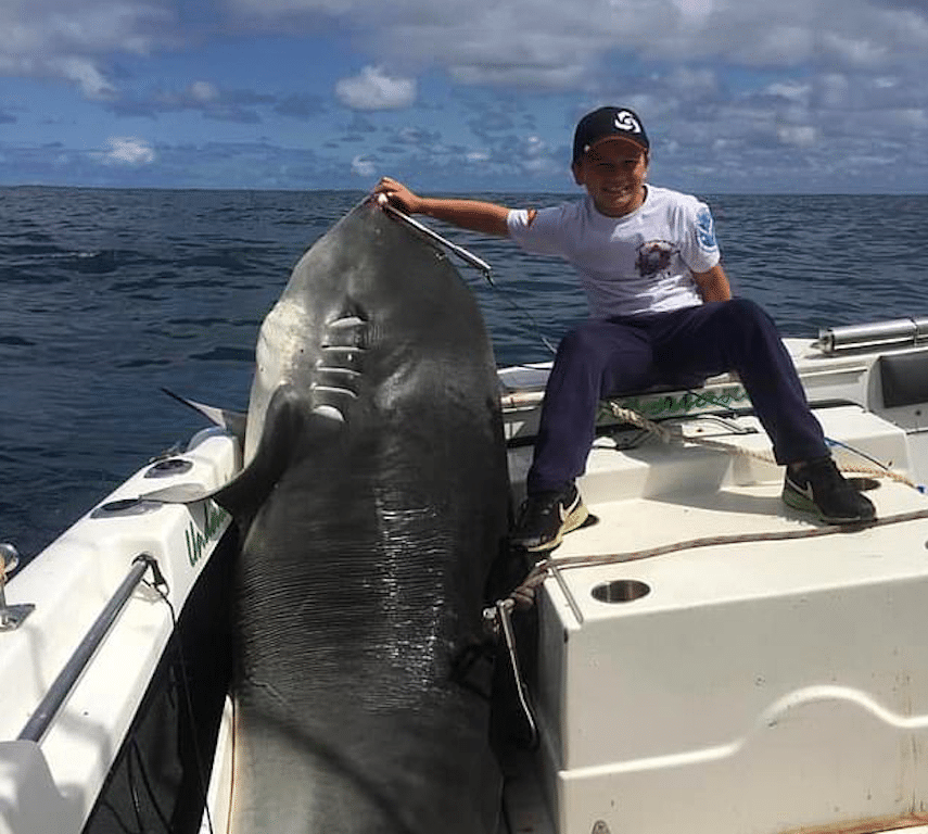 Dismantle zoom Correspondent Outrage: Brave young boy catches massive shark, saving surfers and  infuriating online virtue signalers!