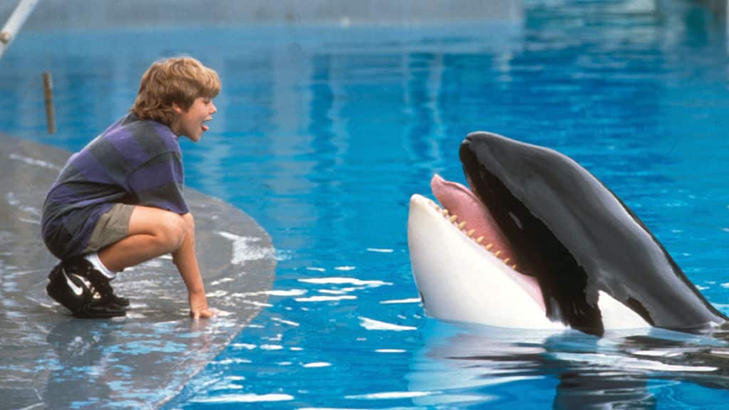Killer Whale (right) attempts to eat the tongue out of a human boy's head.