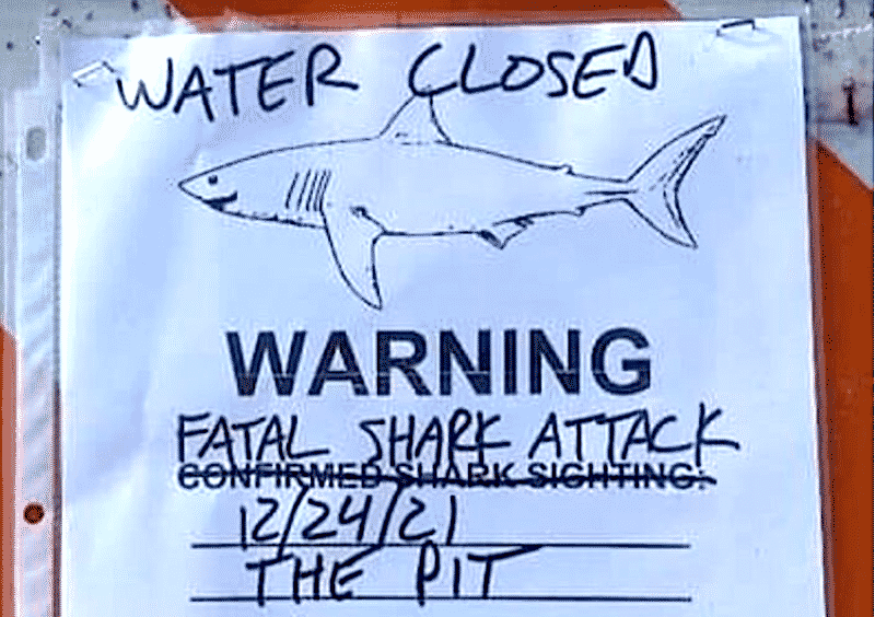 Australia renames shark attacks 'negative encounters' to dispel