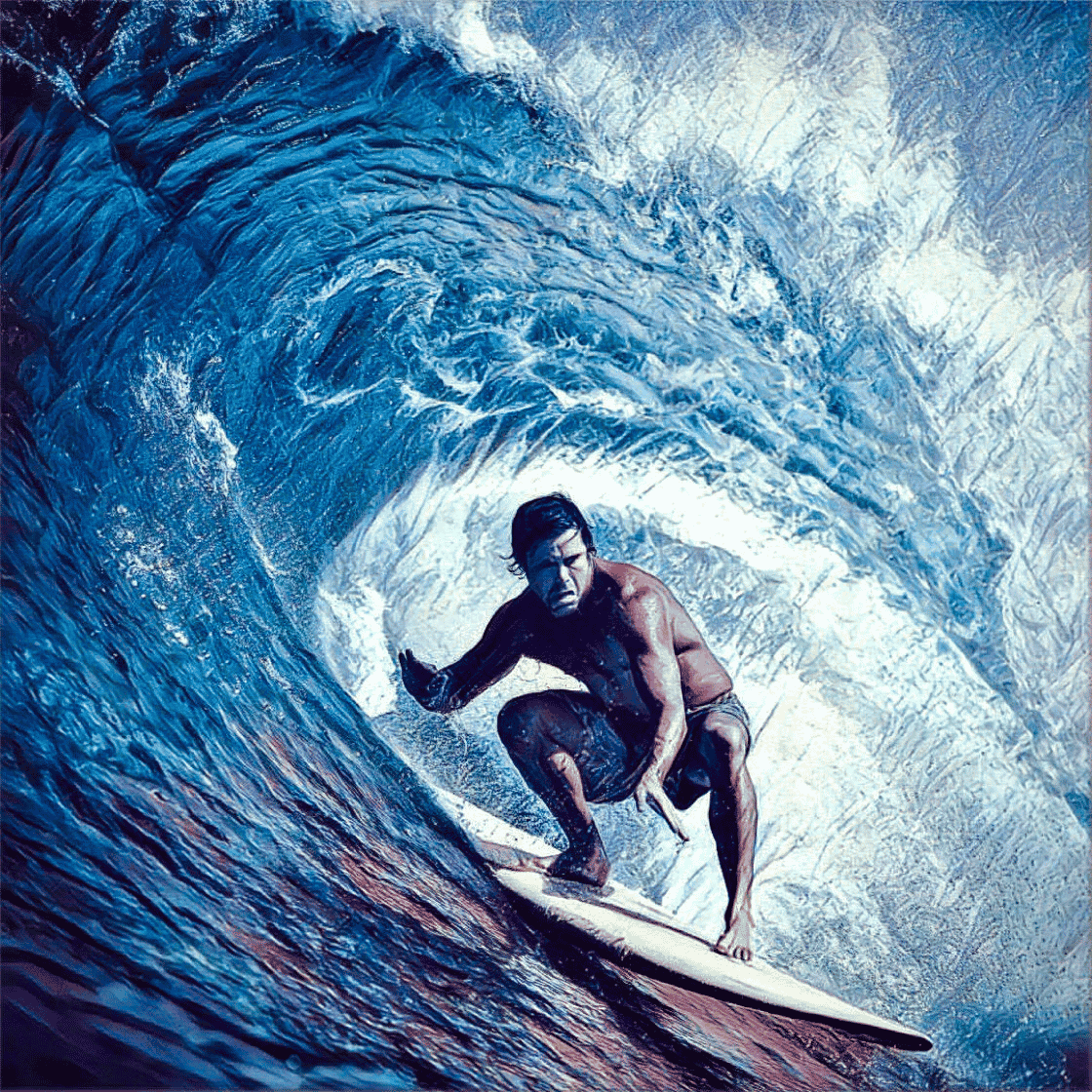最安価格挑戦 Roger Anderson Hawaii Surfboard - lecardinalresort.com