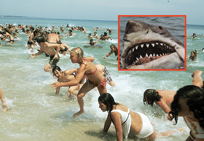 Jaws Like Scenes In New York As Beaches Forced To Close Following Five Shark Attacks In Two Days