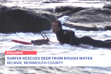 Surf hero. Photo: New Jersey channel 12