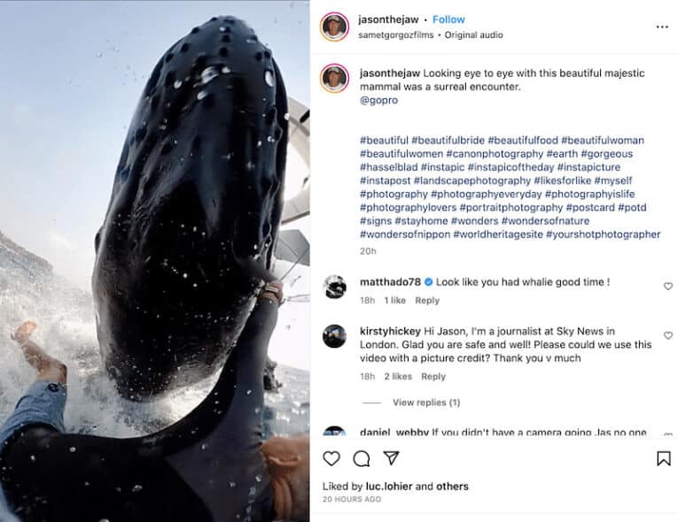 Foil-boarder hit by whale