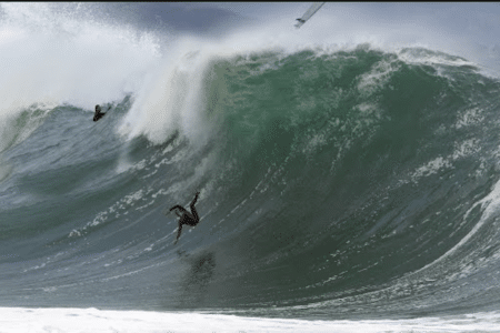 California surfer (pictured) tricked by Surfline.