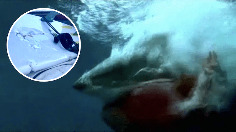 Great White sharks attack surfer at Blacks in South Australia.