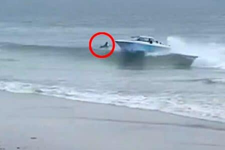 Boatload of migrants arrive in Carlsbad, nearly killing surfer in beach landing.