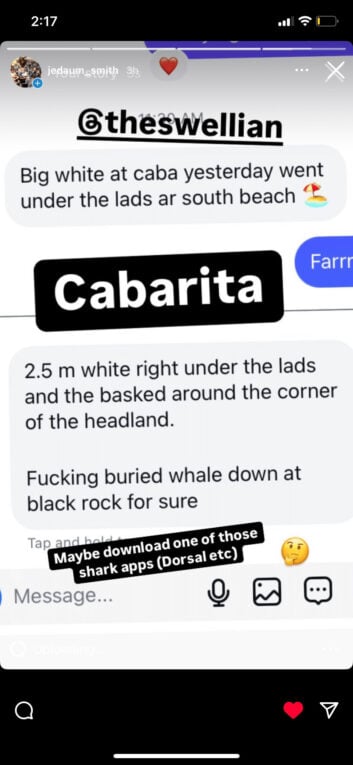 Surfers Warned Of Further Great White Attacks One Week After Lance Appleby Killed By Shark In South Oz 3