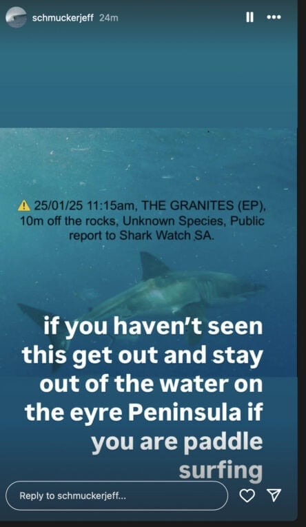 Speculation Great White Shark That Killed Surfer Lance Appleby Just Returned To Site Of Attack 1 Great white attack south australia