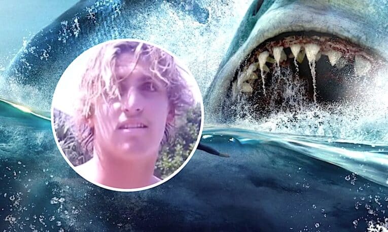 Aussie surfer collides with shark, snapping fin and breaking board, near sight of fatal attack