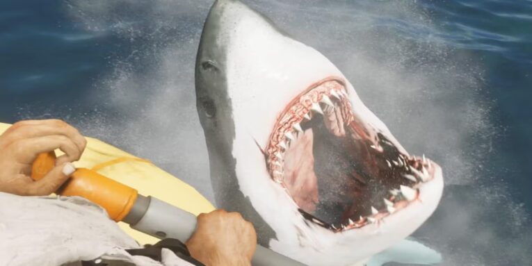 South Australian government blames “algal bloom” for surge in fatal shark attacks on surfers