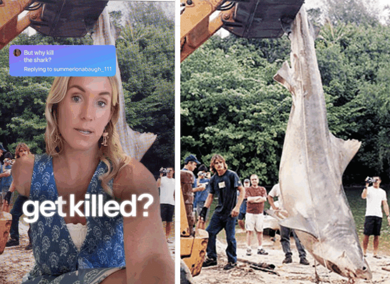 Bethany Hamilton forced to defend killing of shark that took her arm