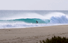 Mikey February chasing secrets.