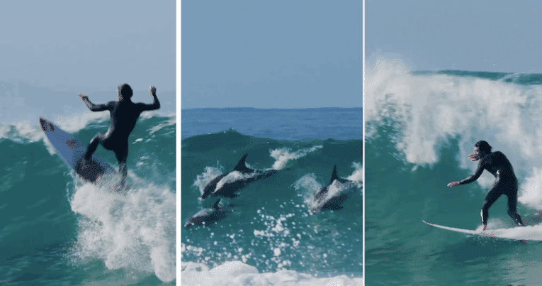 Surf mystic Griffin Colapinto describes magical omen of the majestic dolphin