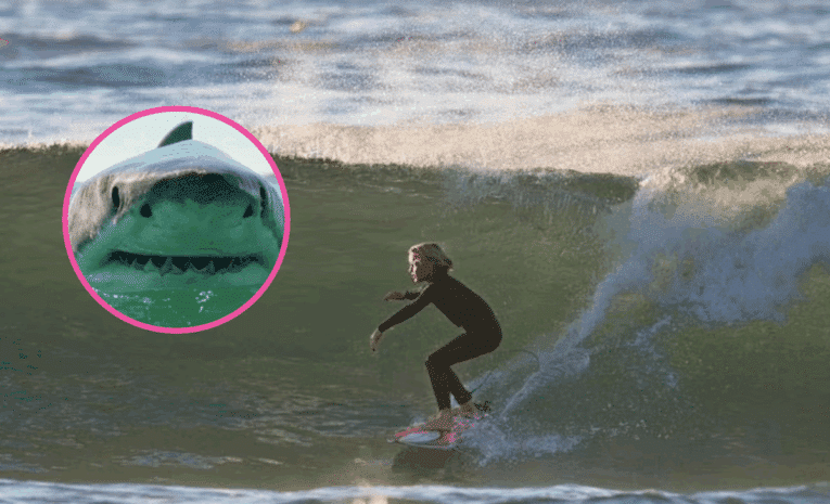Nine-year-old surfer attacked by “giant” shark near site of fatal Great White mauling of swimmer