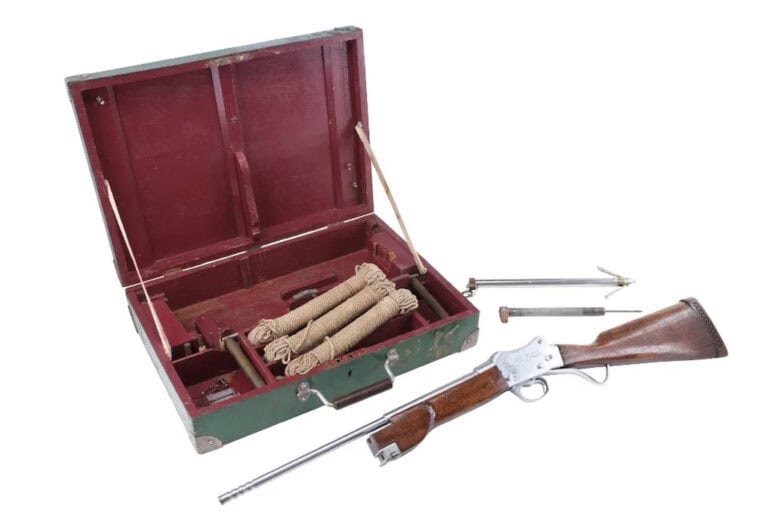 Animal Cruelty Lovers Salivate As Harpoon Rifle Used To Pester Jaws Hits Auction Block 2