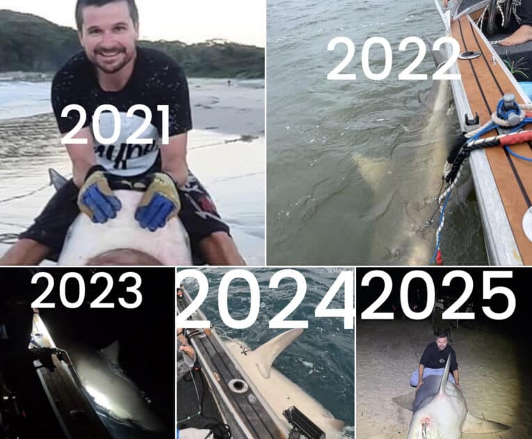 Bull Shark Sizes Exploding: &Quot;I'Ve Been Tagged In Missing Persons Posts&Quot; 1