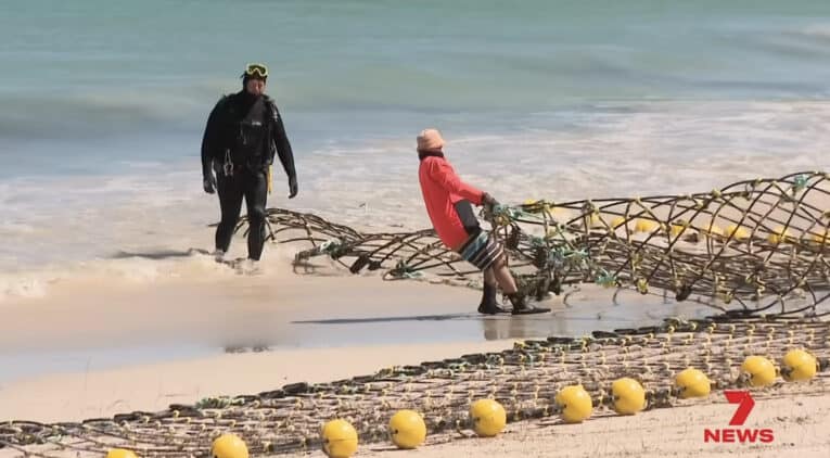 Shark barrier at Cottesloe